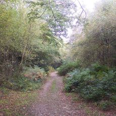 Scord's Wood and Brockhoult Mount