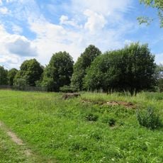 Главный дом (фундаменты) (Троицкое)