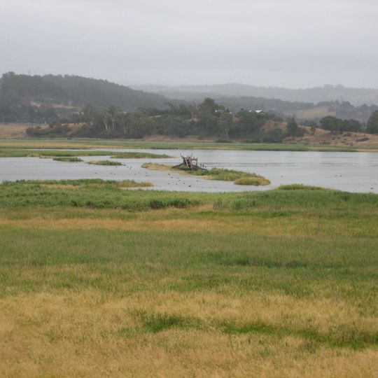Tamar River Conservation Area