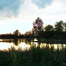 Tiszavasvári Fehér-szik Természetvédelmi Terület