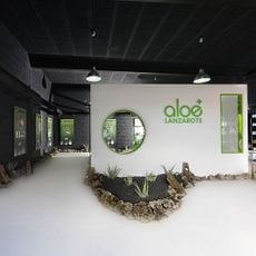 Museo de Aloe de Lanzarote