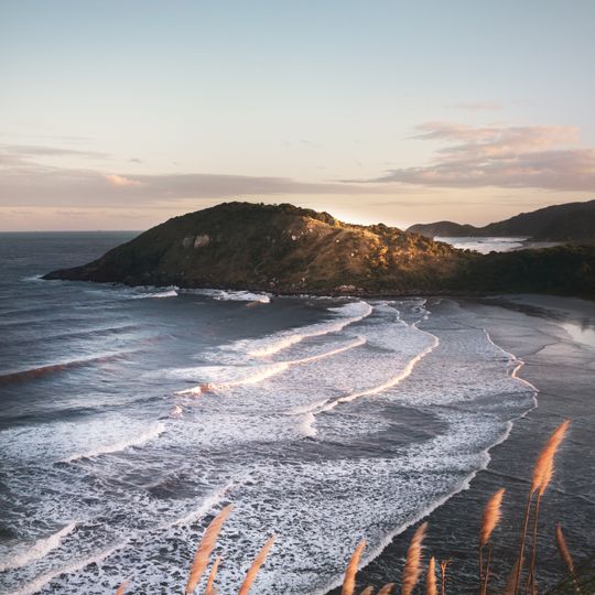 Estação Ecológica da Ilha do Mel