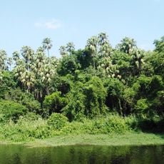 Kham Chanot Forest