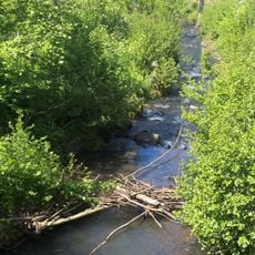 Wingershäuser Schweiz