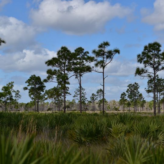 St. Sebastian River Preserve State Park
