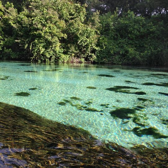 Weeki Wachee River