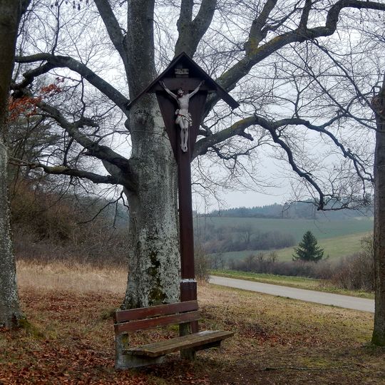 3 Rotbuchen am Hartweg