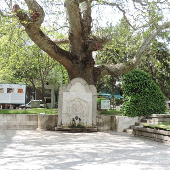 Fountain under the Plane, Sandanski