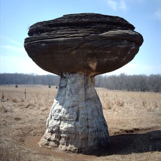 Staatspark Mushroom Rock