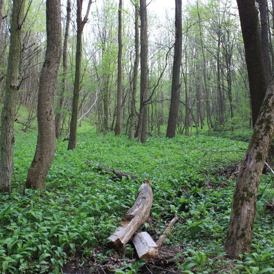 Tscherwonohrebljanskyj sakasnyk