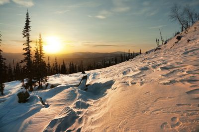 Winter 0