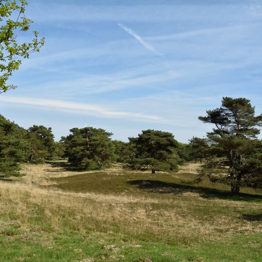 Heideflächen bei Kellinghusen