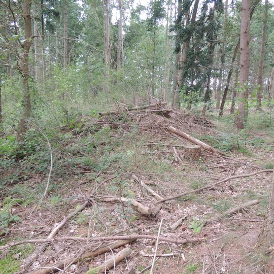 Großsteingrab Edendorf 7