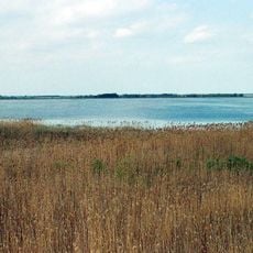 Lago Łuknajno