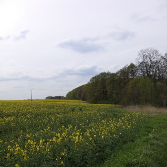 Zespół przyrodniczo-krajobrazowy „Park w Reptach i dolina rzeki Dramy”