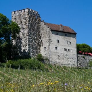Zamek Habsburg