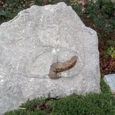 Ⱆ