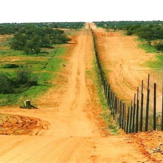 Dingo Fence