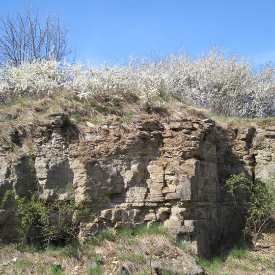 Naturschutzgebiet 'Sodenberg-Gans'