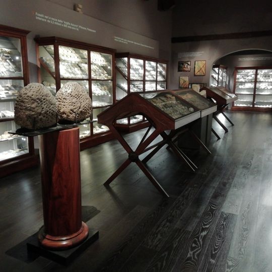 Museo Giuseppe Scarabelli