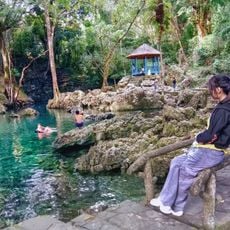 Natural swimming pool