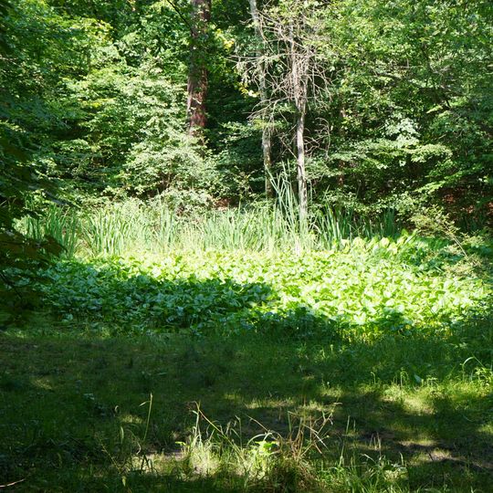 Feuchtbiotop Spatzensee