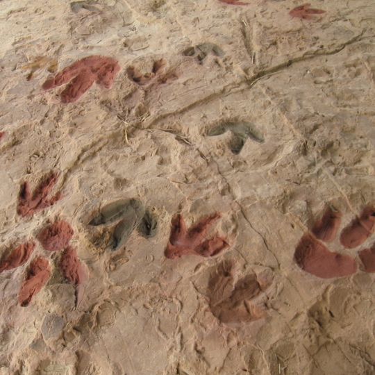 Corcolilla ichnological site