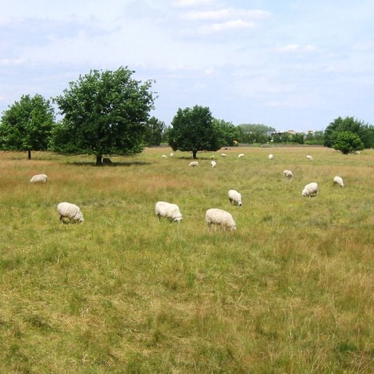 Landschaftspark Johannisthal/Adlershof