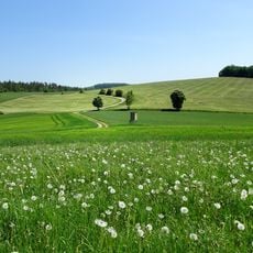 Wälder und Kalkmagerrasen der Ringgau Südabdachung