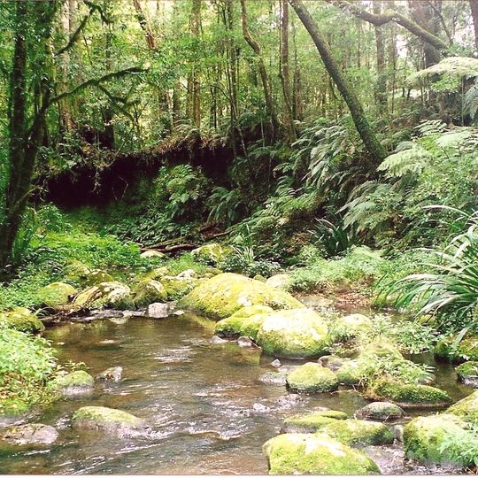 Border Ranges National Park