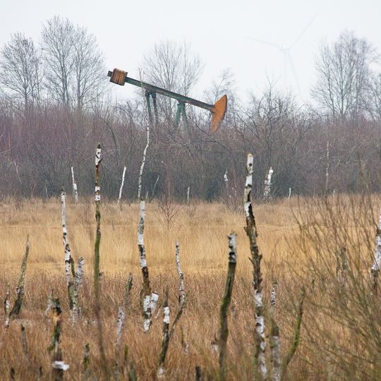 Mittleres Wietingsmoor