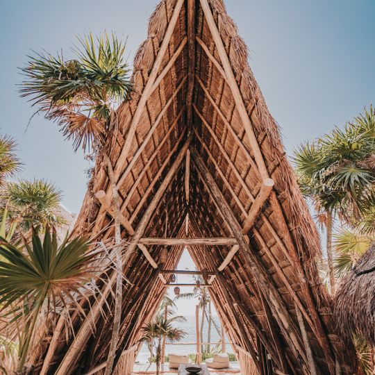 Papaya Playa Project