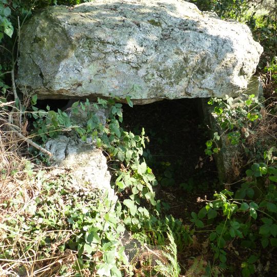 Allée couverte von La Roche-aux-Fées