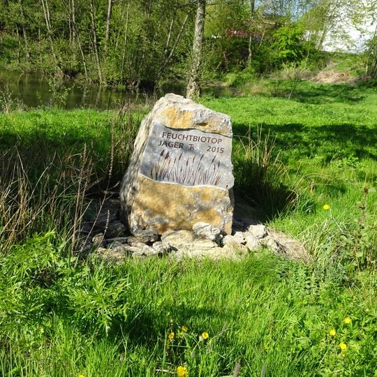 Naturdenkmal Feuchtbiotop mit kleinem Tümpel im Gewann Ober dem Dorf