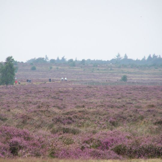 Terrein waarin vijf grafheuvels