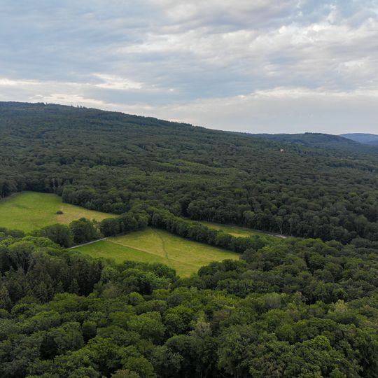 Buchenwälder nördlich von Wiesbaden