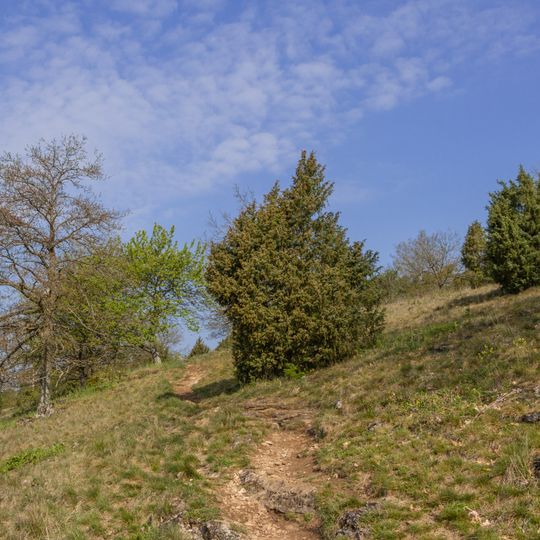 Gungoldinger Wacholderheide