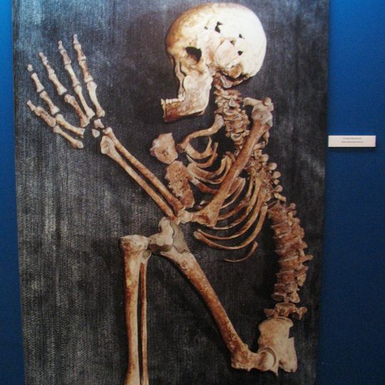 Moshe Stekelis Museum of Prehistory