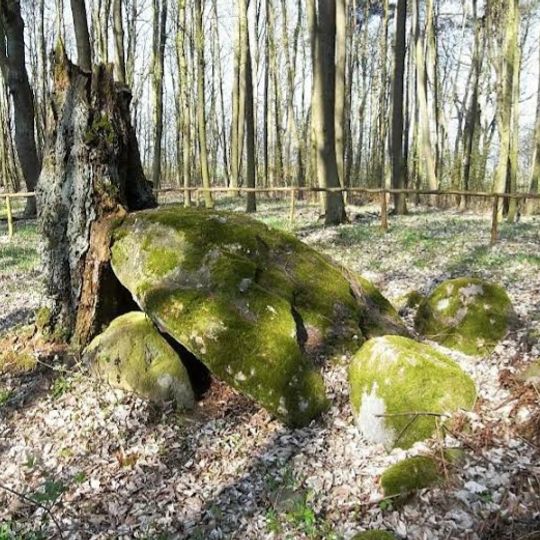 Polygonaldolmen von Lexow