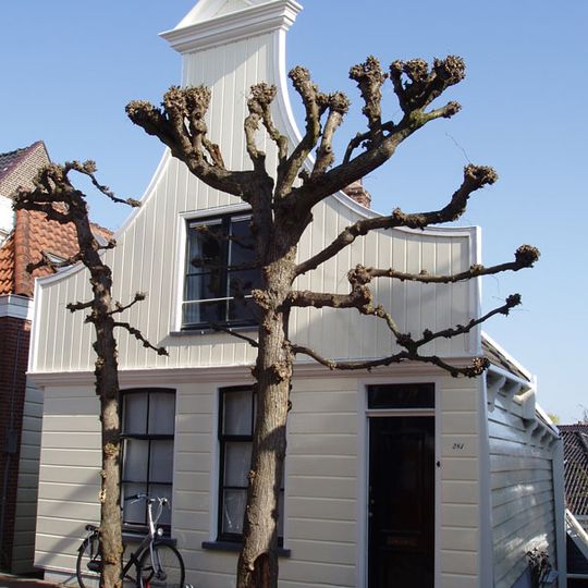 Houten dijkhuis met halsgevel uit 19de eeuw