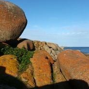 Sul da Austrália: locais naturais, vinícolas e descobertas costeiras