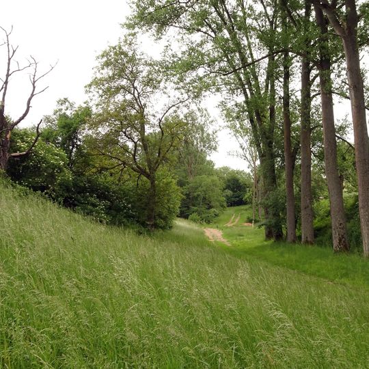 Hohl Felsenwiese am Kalkofen
