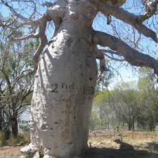 Judbarra / Gregory National Park