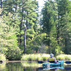 Wharton State Forest