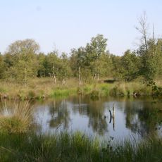 Kollrunger Moor und Klinge