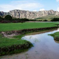 Zacatecas