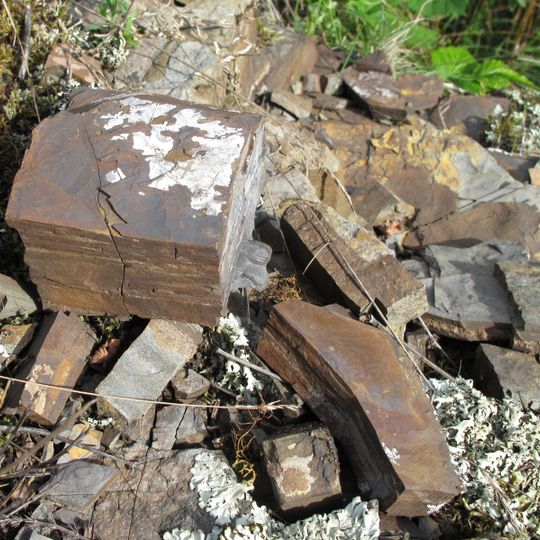 Štěpánský rybník