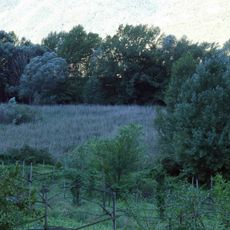 Biotopo Palù di Borghetto