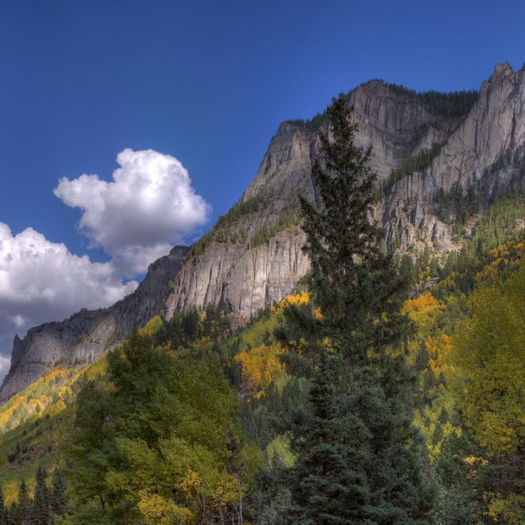 Bacino di Yankee Boy