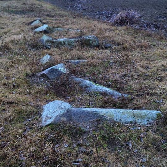 Jewish cemetery in Illintsi